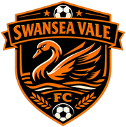 Swansea Vale FC crest