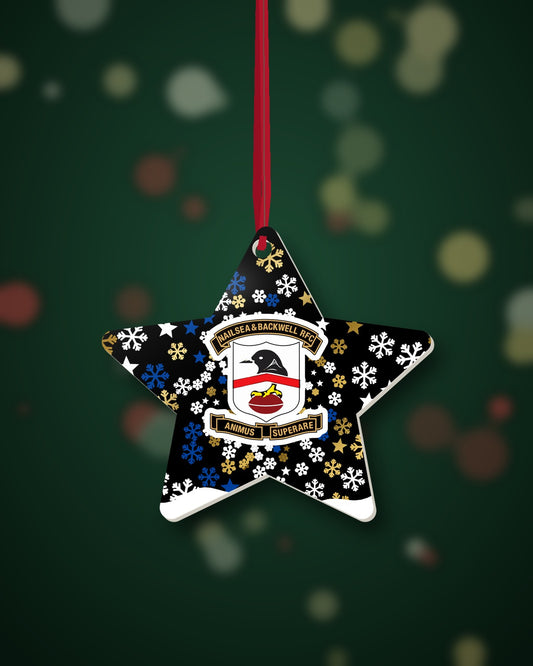 Nailsea & Backwell RFC Christmas Star Snowfall