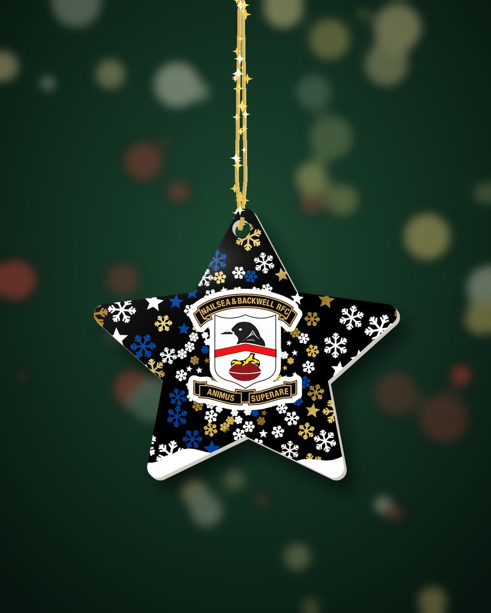 Nailsea & Backwell RFC Christmas Star Snowfall