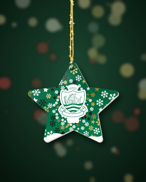 Sidmouth RFC Christmas Star Snowfall