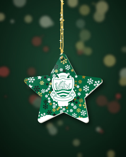 Sidmouth RFC Christmas Star Snowfall