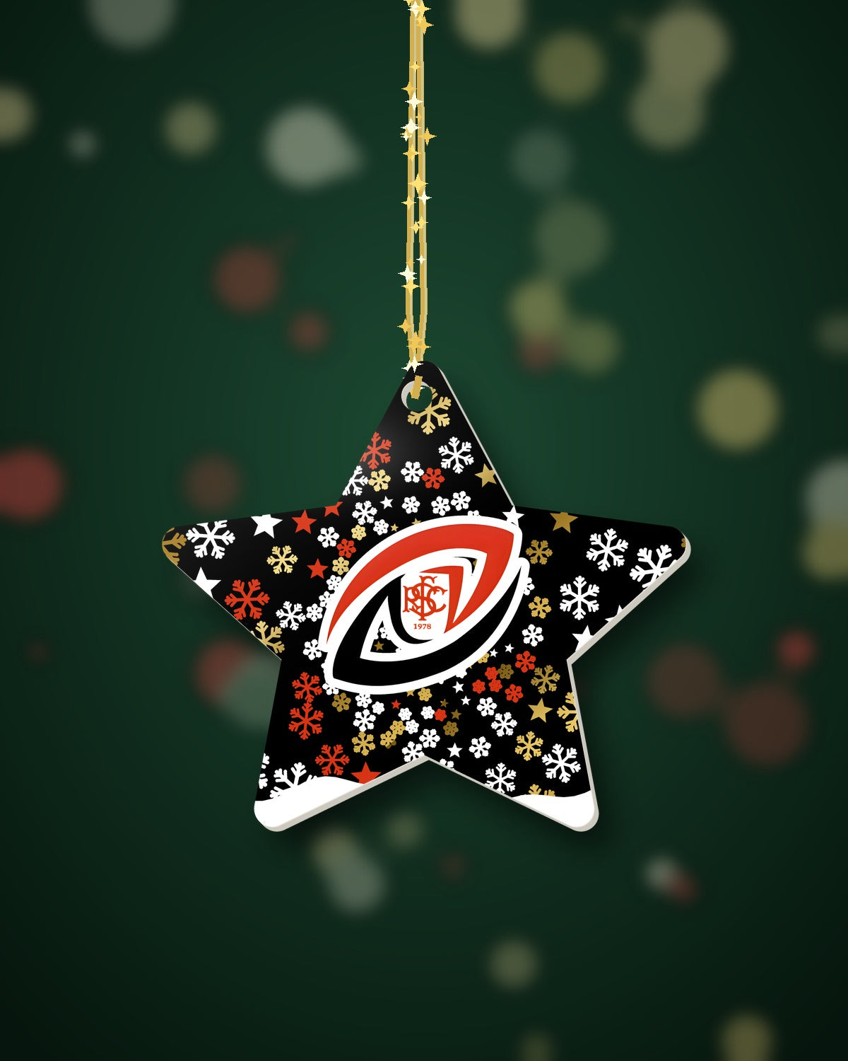 Sleaford RFC Christmas Star Snowfall