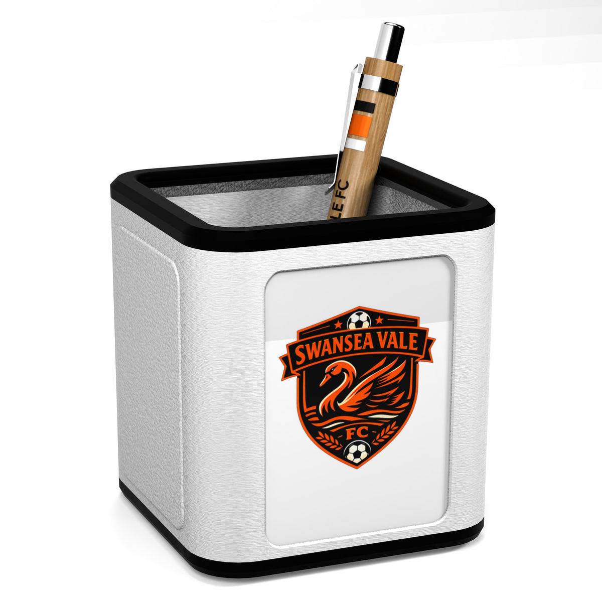 Swansea Vale FC Pen Pot