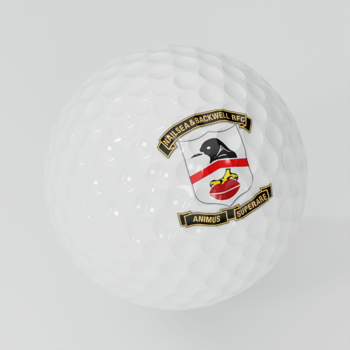 Nailsea & Backwell RFC Golf Balls (3 pack)