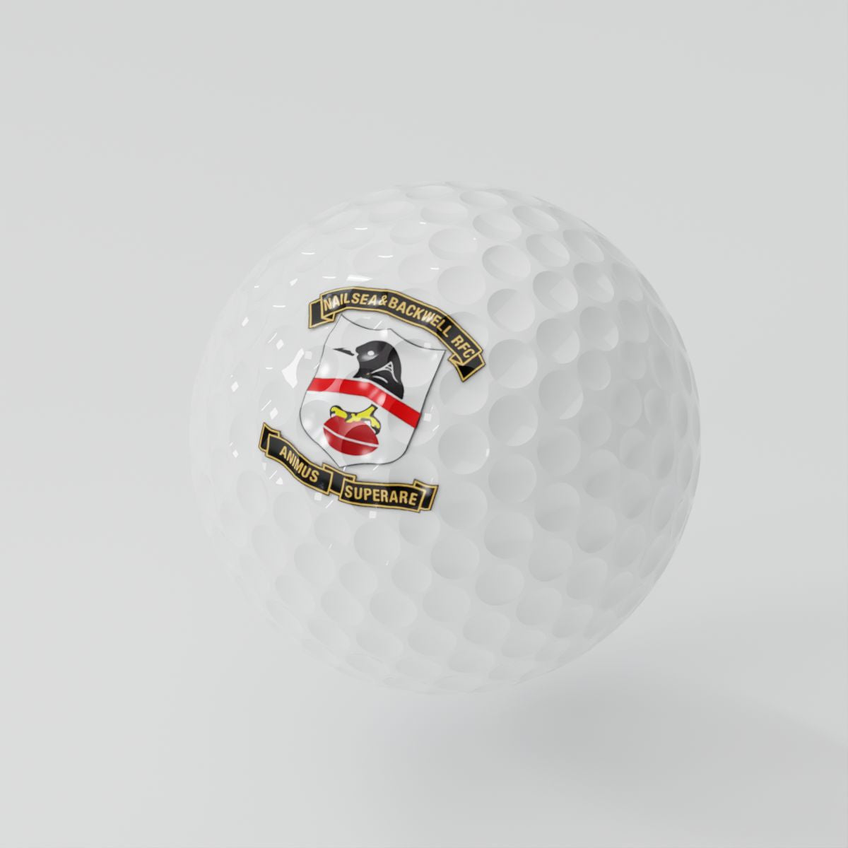 Nailsea & Backwell RFC Golf Balls (3 pack)