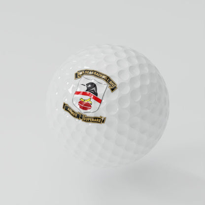 Nailsea & Backwell RFC Golf Balls (3 pack)