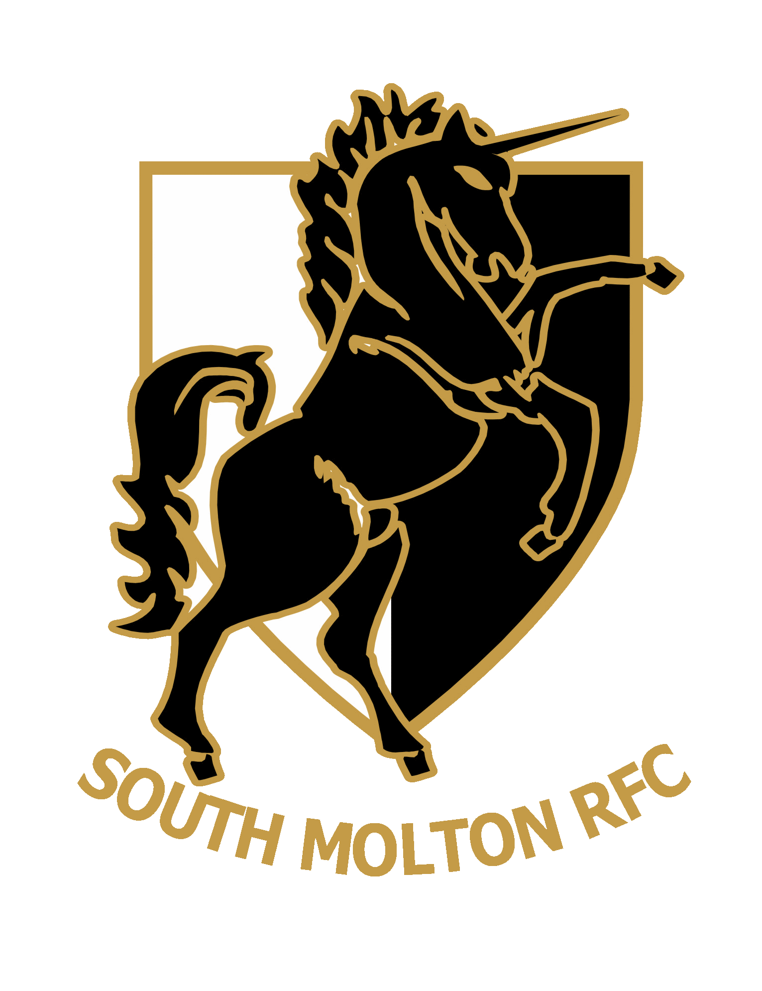 South Molton RFC